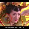 下载图库软件到手机